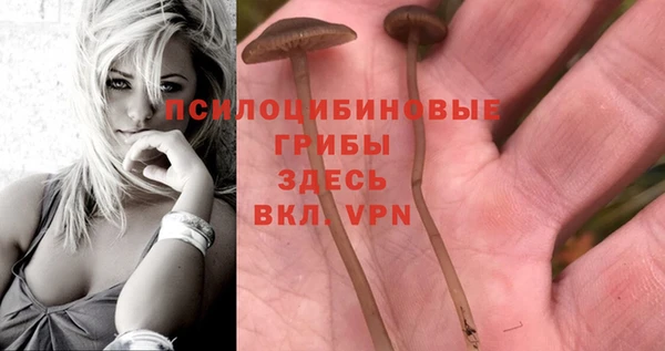 альфа пвп VHQ Новозыбков