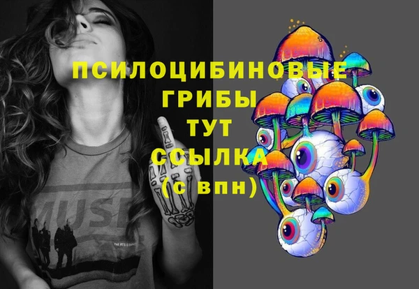 соль курить ск Новодвинск
