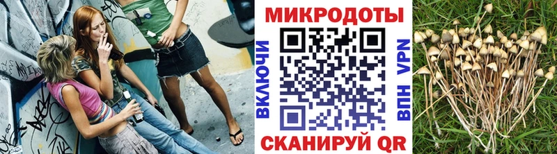 Галлюциногенные грибы прущие грибы  где купить наркоту  Сыктывкар 