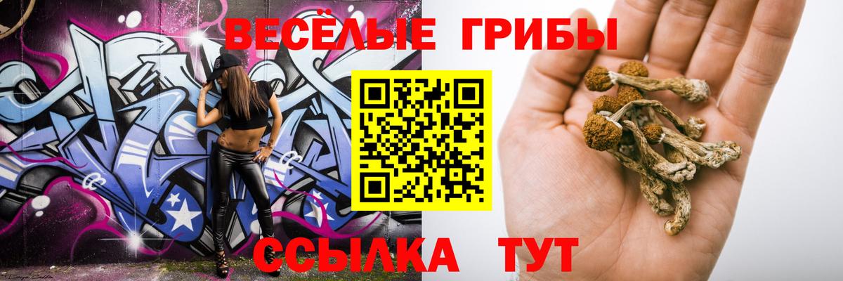 Псилоцибиновые грибы GOLDEN TEACHER Сыктывкар